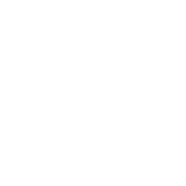 Walk Leader