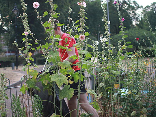 Rock Around the Block by Buddy Hollyhock and Cricket