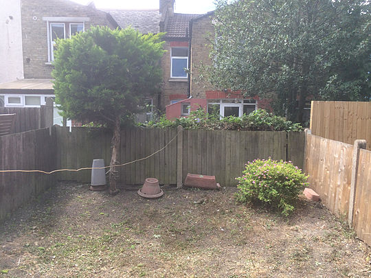 Tip top topiary in Tooting! 