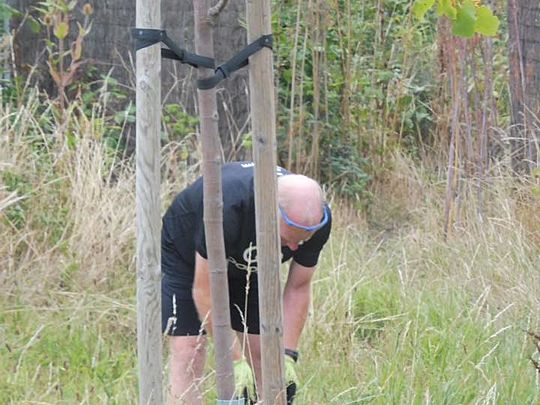 No blackberries on the brambles but theres a black shirt in the bush!