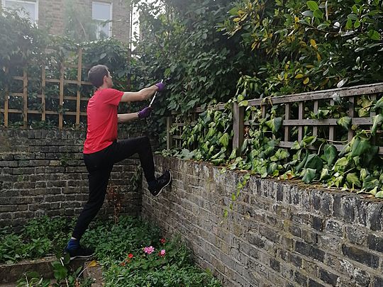 Sunny Sunday Snipping Away Shrubs