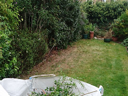 Trimming in the rain!