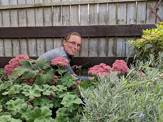 Don't take plants from strangers