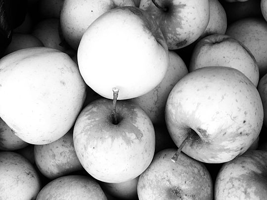 RUNNING TO PICK CIDER APPLES – NOW THAT SOUNDS APPEALING