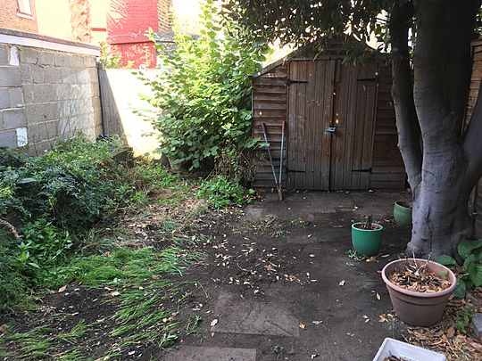 Sweeping some leaves so Ms M & Boyd the dog can enjoy the garden again