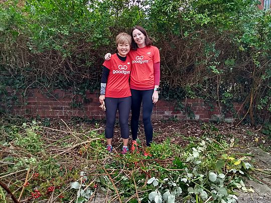 Hedging our bets on some bramble bashing