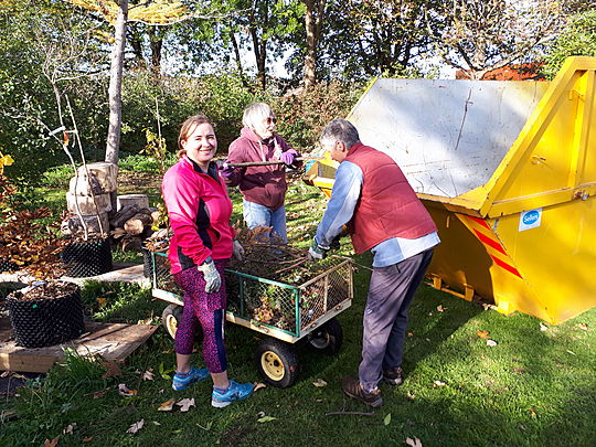 Nursing trees with a saw & skip