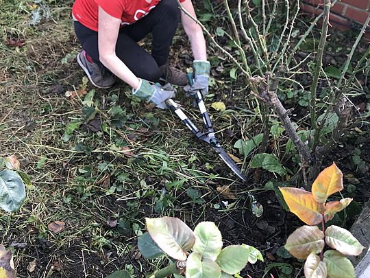 The shiny new shears wouldn’t leave us for-lawn