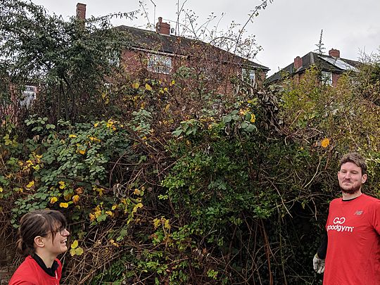 Oodles of Noodles (and brambles)