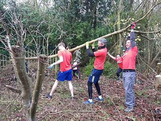 We Came, We Sawed, We Coppiced