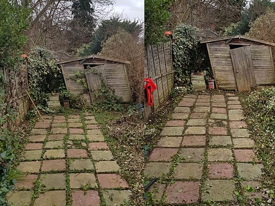 Clearing the Brambles