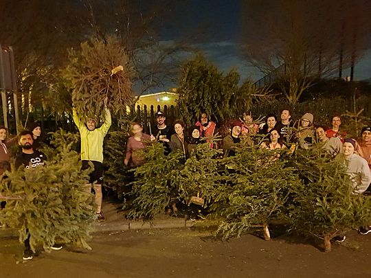 Making HisTree in Barnet 🎄🎄🎄🎄