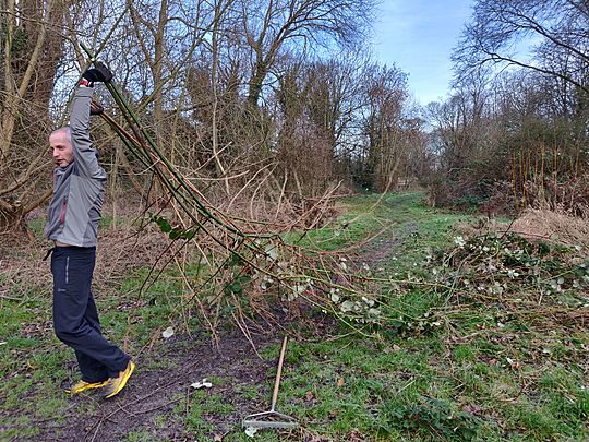 Attack of the (Heworth) Holmes: The Bramble Strikes Back