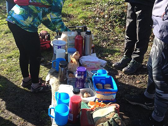 Winter Woodland Weeding - Our 1st Parkwood Forest Garden GG community mission complete! :)  