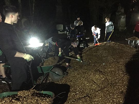 Very Mulch fun in the darkness 