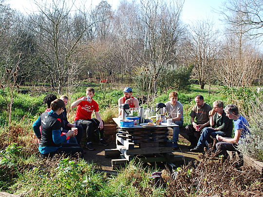 Tea with the Tree Musketeers