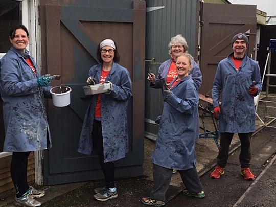 Painting the Brown Shed