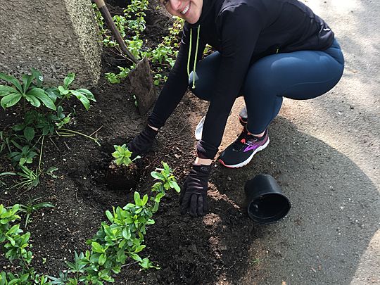 All Manor of digging and planting