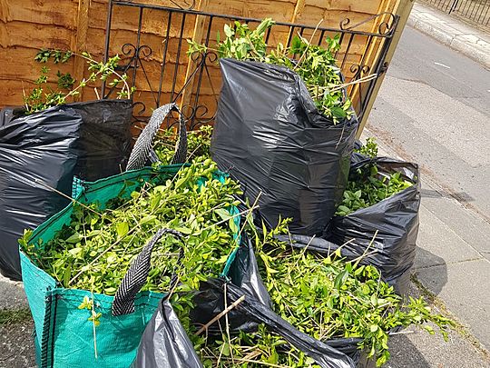 Cutting the hedge down to size