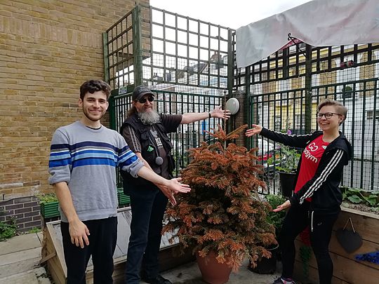 GoodGym and MIND in Camden: A tree is for life not just for Christmas