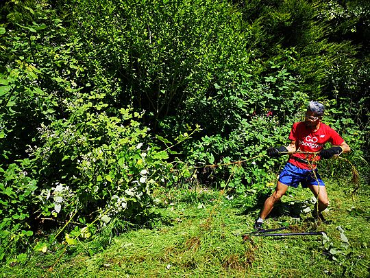 "Take That" said Goodgym to the brambles