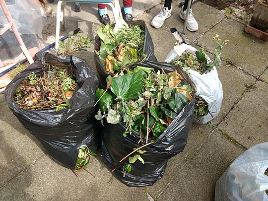 Goodgym Garden Gnomes