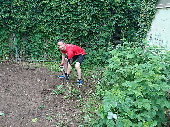 Better nettle down for some berry good weeding