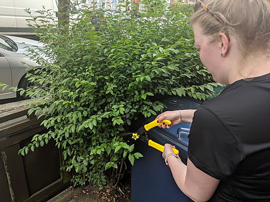 A classic urban hedge-end