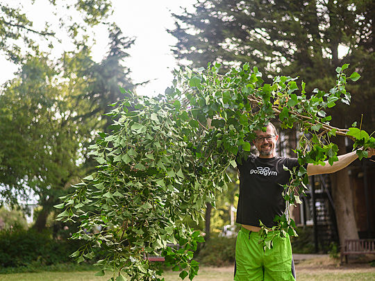 We Had a Vine Time, Swinging on the Creepers