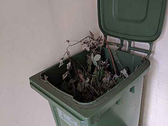 Brum's Pioneers Kick De Bucket (wheelie bin)