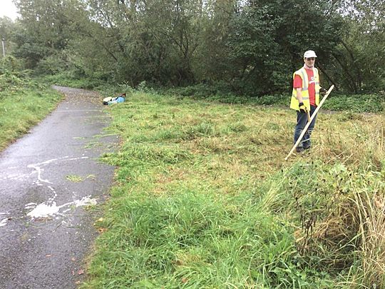 Not Raking but Scything