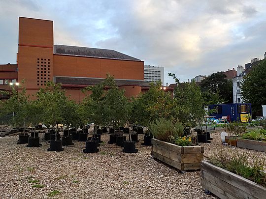 Plants and Peace (before Pints)