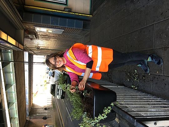 Planting Bulbs To Light Up Hainaut Station