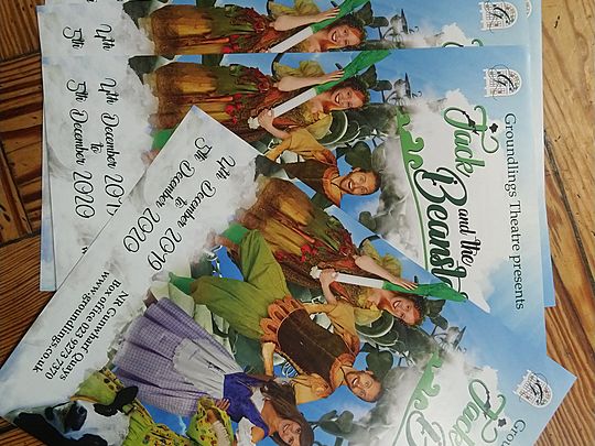 Deliver panto leaflets? Oh yes we did!