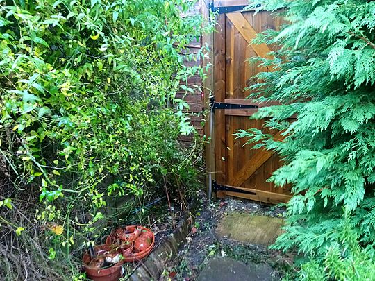 How much wood can two woodchucks chuck in the pouring rain? 