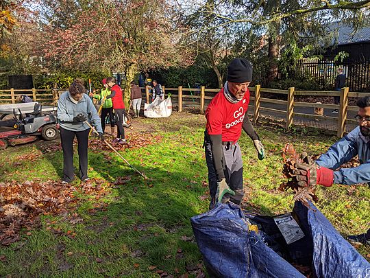 Rakes are leaf-fall weapons