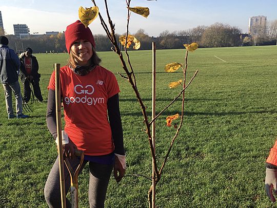 Hijinks and Tom-fruity-tree out on the marshes