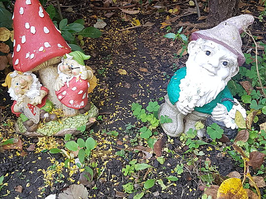 Tidying the gnome's home