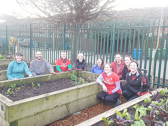 How mulch wood could a Goodgym chuck if a Goodgym could chuck wood