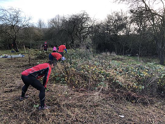 Bramble bashing a runderble Christmas tine