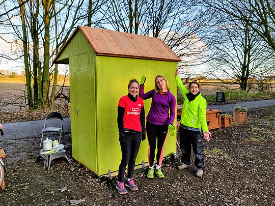 We thought about having a quiet day, but decided to go out and paint the brown shed.