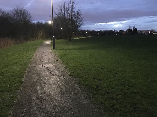 Plogging in Glebelands Wood Nature Reserve