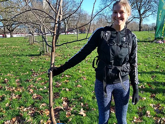 Getting the lowDowns on tree-planting