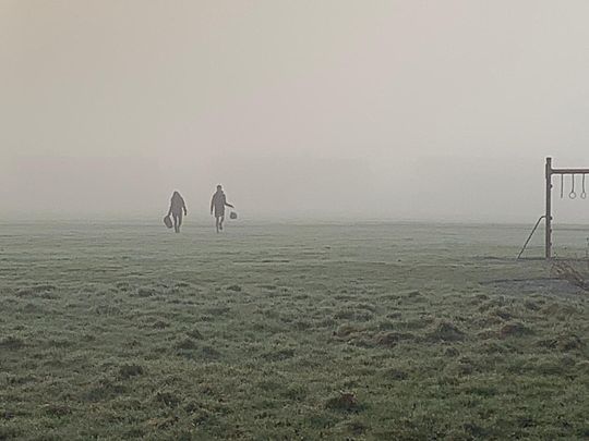 junior parkrun or junior parkskate? 