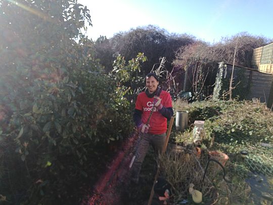 Clearing brambles