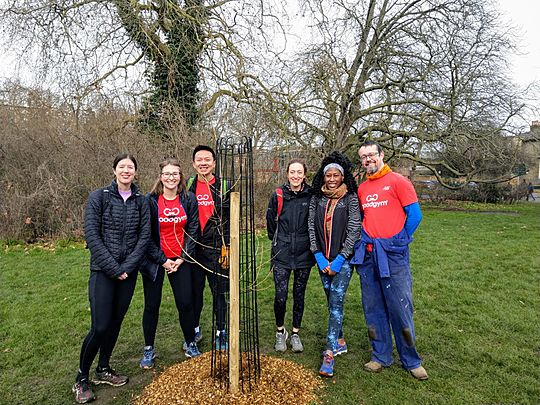 Putting Poppy, the poplar, to bed