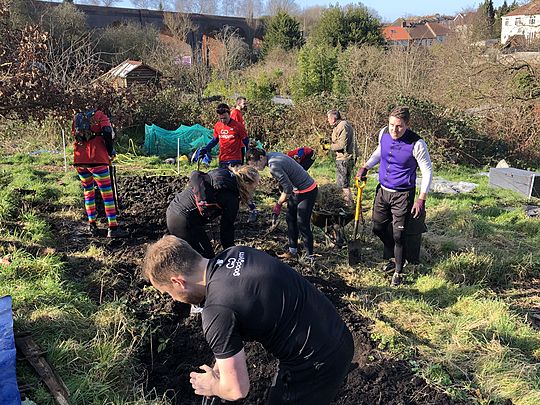 Digging for Brambles