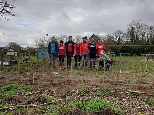 Hedging our bets on 85 trees!