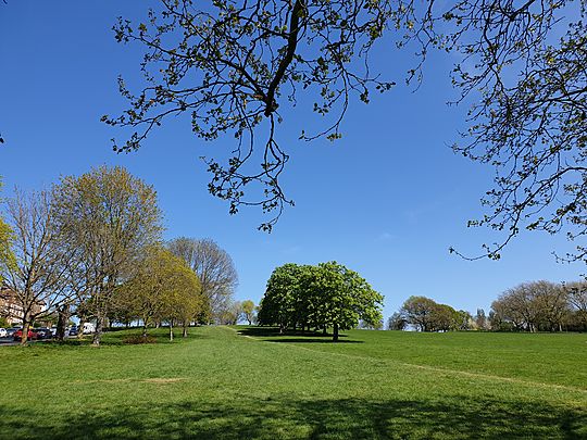 Shopping in the Spring 