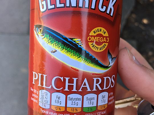 Got to pick a pilchard or two, boys